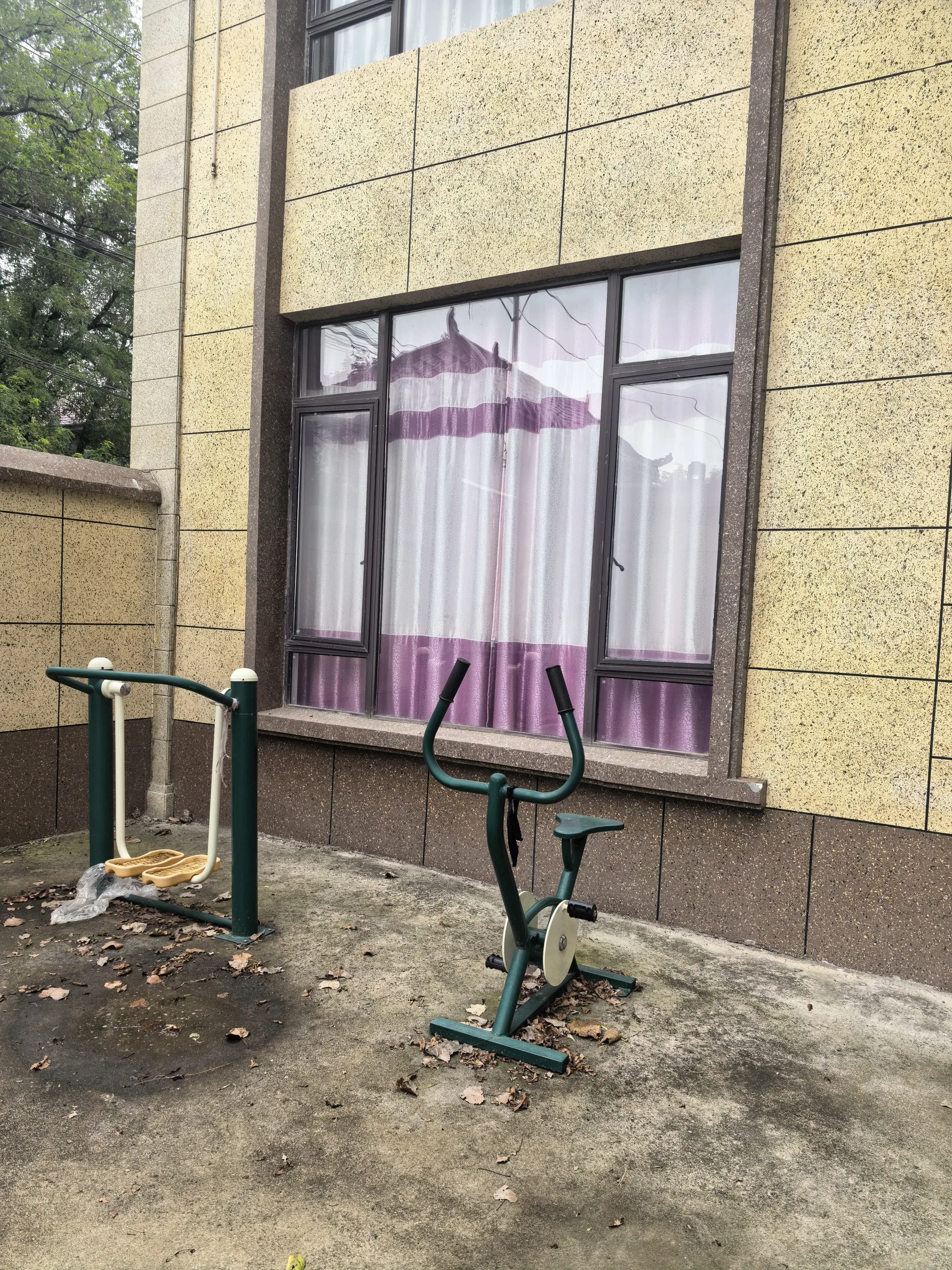 饭后3000圈
